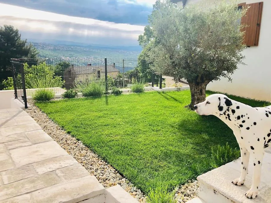Casa Maya Deluxe Appartment With A Pool Opatija Croatia